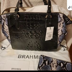 Brahmin